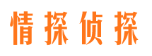 北湖市私家侦探公司